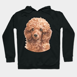 Red Toy Poodle Watercolor Art Hoodie